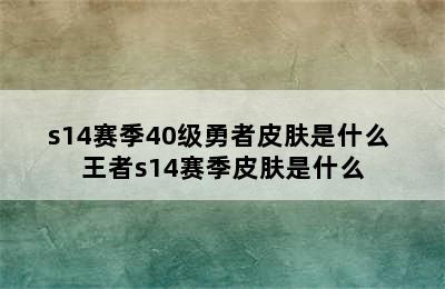 s14赛季40级勇者皮肤是什么 王者s14赛季皮肤是什么